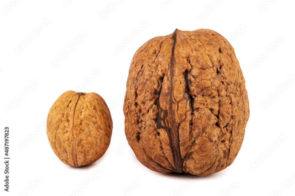 Walnuts isolated on white background, on table. Macro walnuts., close up, top view. Walnuts isolated on white background, on table. Macro walnuts., close up, top view.