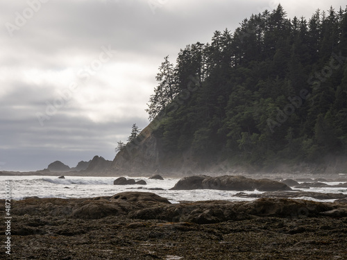 A foggy view along the Pacific Northwest coast in Olympic National Park, rocky shore and forest covered hills.