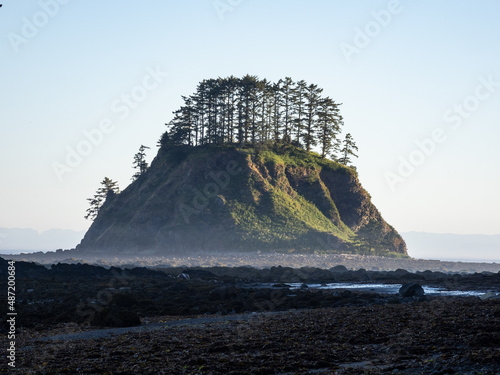 An island off the coast of Cape Lava in the morning, fog hanging over the tidal pools at low tide, part of Olympic National Park.