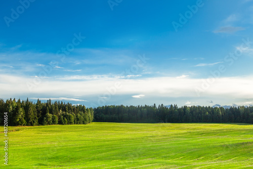 A bright green field, in the distance a forest and a clear blue sky.