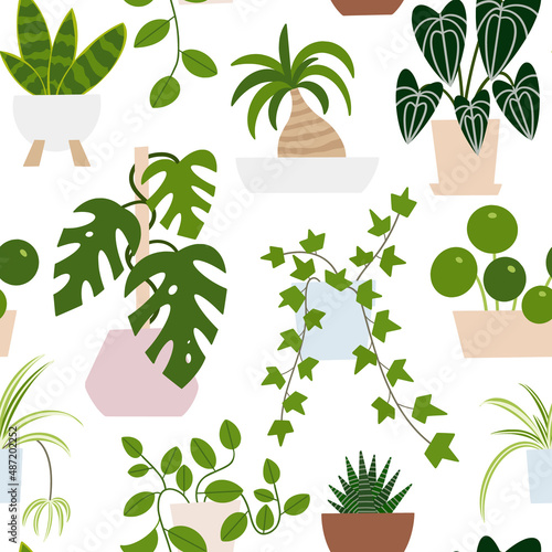 Houseplants in flowerpots seamless pattern. Flat hand drawn foliage plants for modern office or home decor illustration. Cute green flower for urban jungle garden.