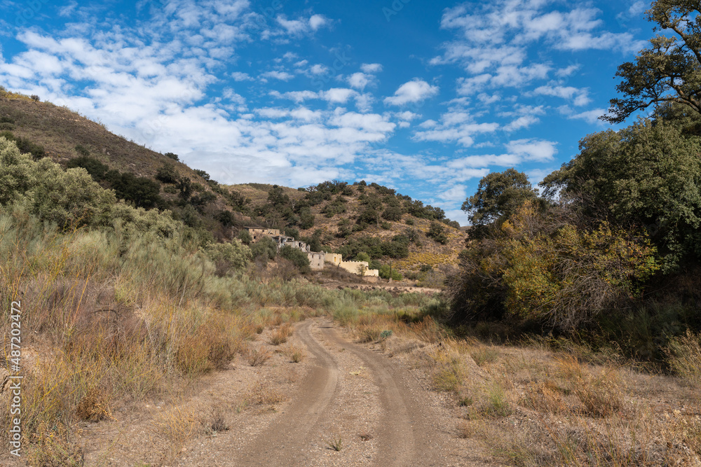 dirt road in the mountains