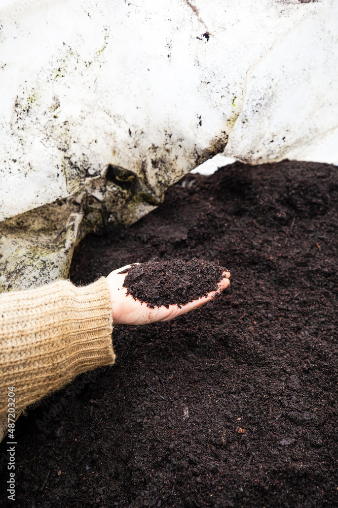 Obraz premium biodynamic humus earth