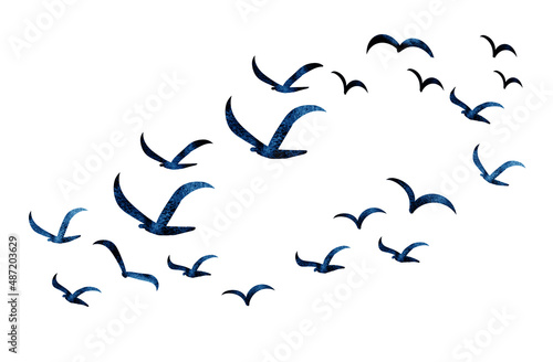 Silhouettes of groups of  birds on white. Watercolor © suns07butterfly