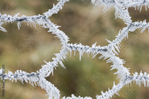 Spiky white advection frost / wind frost on a wire fence (England, UK)