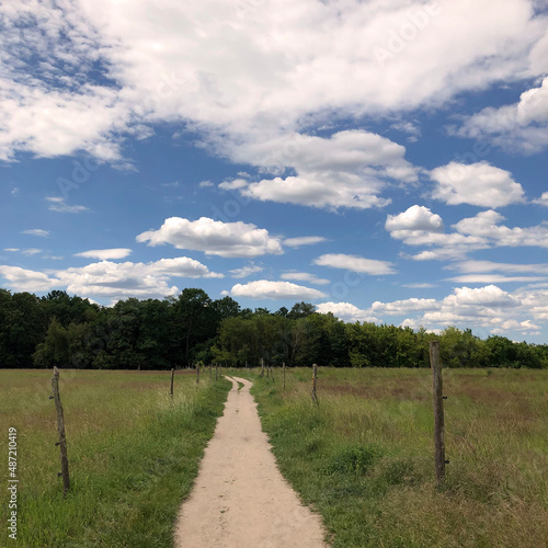 Road in the field - near Gut Osdorf, southern border of Berlin