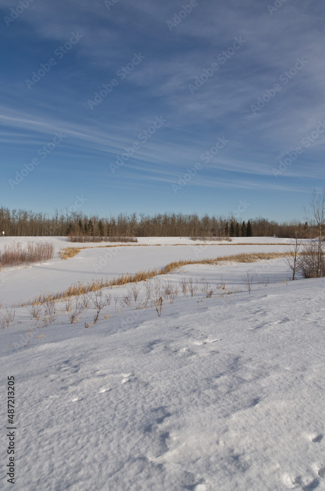 Pylypow Wetlands in the Winter Pylypow Wetlands in the Winter