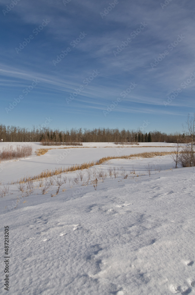 Pylypow Wetlands in the Winter