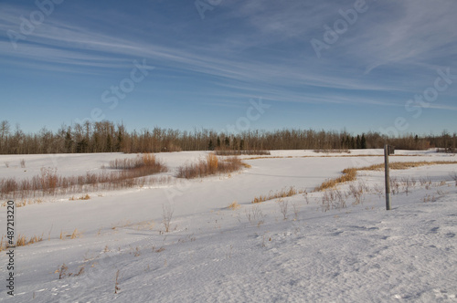 Pylypow Wetlands in the Winter