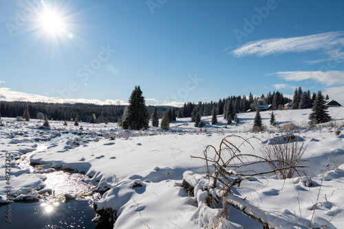 Stream and forest at Filipova Hut, Filipohutsky stream, Sumava mountains at winter photo