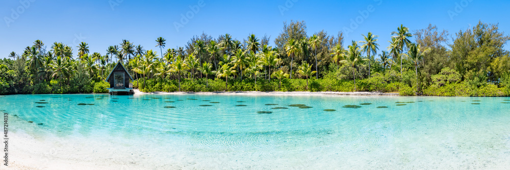 Tropical island with palm trees as panorama background - obrazy, fototapety, plakaty 