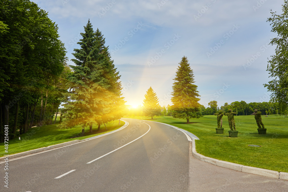Fototapeta premium The paved road up the side of the trees, a freight train on a Sunny day