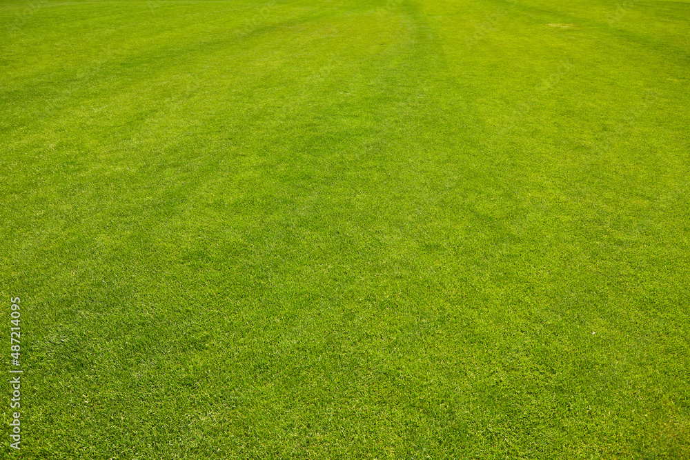 Green grass texture background Top view of bright grass garden Idea concept used for making green backdrop Green grass texture background Top view of bright grass garden Idea concept used for making green backdrop