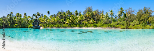 Tropical island with palm trees as panorama background