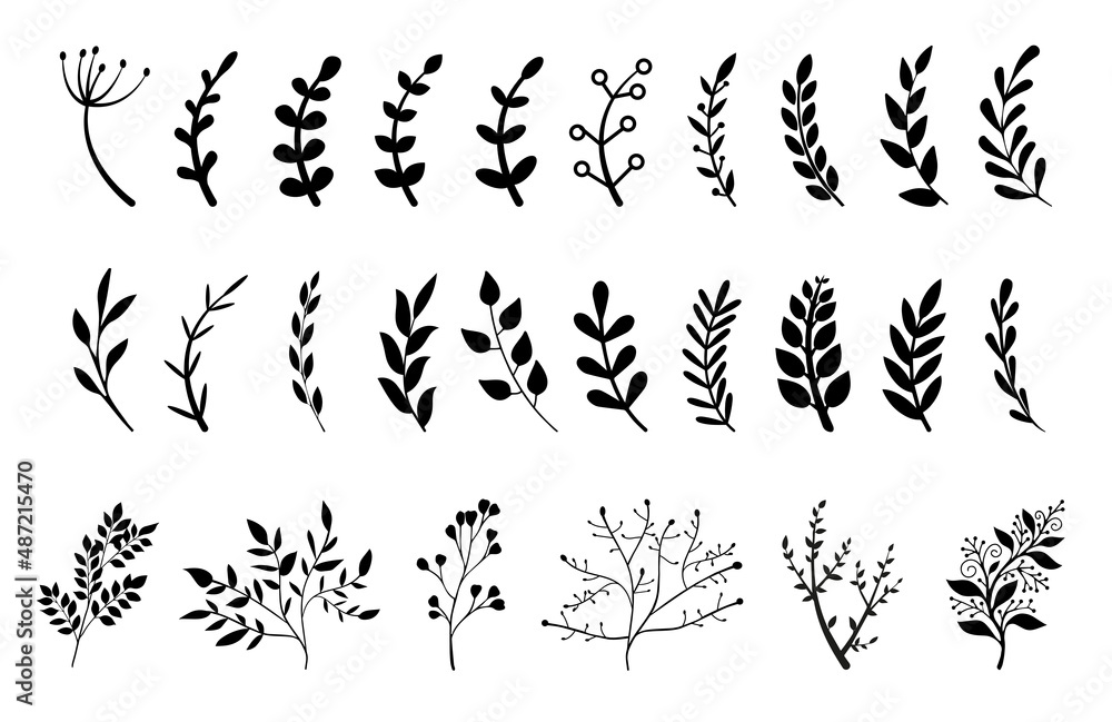 Obraz premium Hand drawn branches with leaves and flowers vector icon