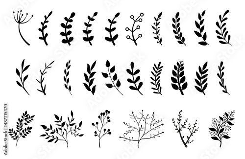 Fototapeta Naklejka Na Ścianę i Meble -  Hand drawn branches with leaves and flowers vector icon