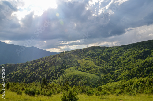 Beautiful summer Carpathian mountains landscape with grassy valley and hillsides covered with mixed forest