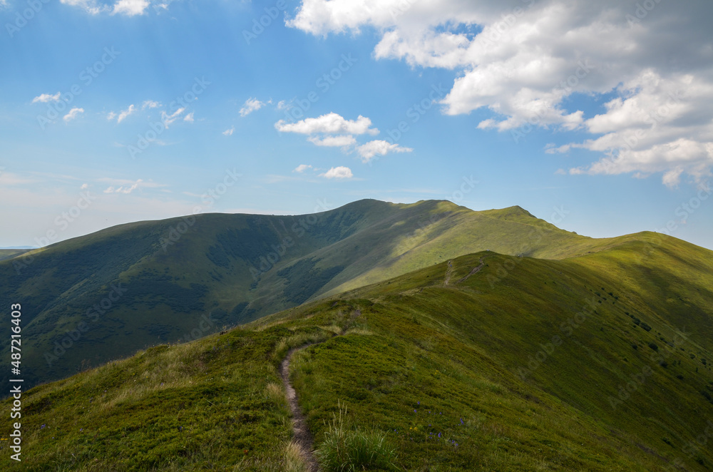 Tourist trail running along the mountain range covered green lush grass under blue sky with clouds on a summer day. Carpathian Mountains, Ukraine 