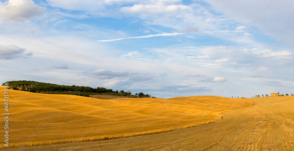 Fototapeta premium panorama of the Tuscan hills in summer time at sunset 