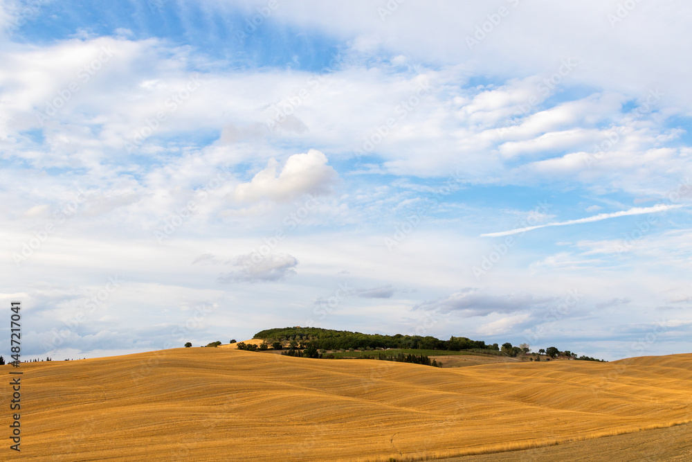 panorama of the Tuscan hills in summer time at sunset panorama of the Tuscan hills in summer time at sunset
