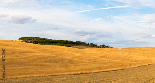 panorama of the Tuscan hills in summer time at sunset 