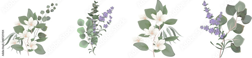 Vector set for floral design. Lavender flowers, white sakura, magnolia, eucalyptus, green plants and leaves. Floral arrangements on a white background Vector set for floral design. Lavender flowers, white sakura, magnolia, eucalyptus, green plants and leaves. Floral arrangements on a white background