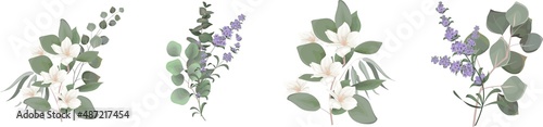 Vector set for floral design. Lavender flowers, white sakura, magnolia, eucalyptus, green plants and leaves. Floral arrangements on a white background