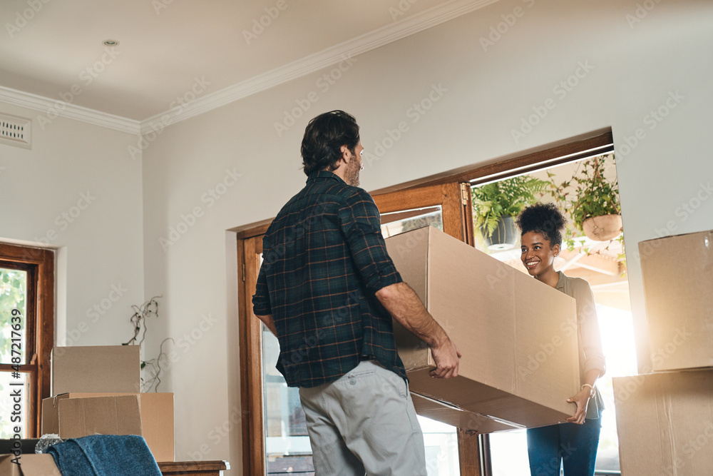 I cant wait to raise our little ones here. Cropped shot of an affectionate young couple assisting each other to carry a box into their new home. - obrazy, fototapety, plakaty 