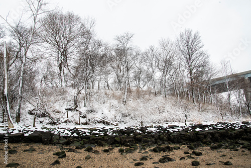 Wallpaper Mural Snow in the beach  Torontodigital.ca
