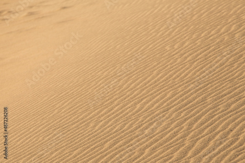 sand texture background © Eszter