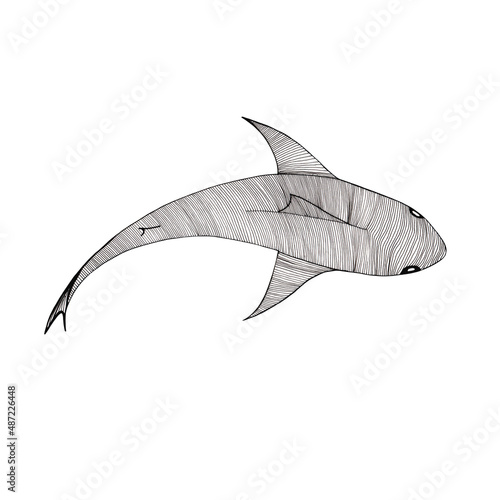 shark graphic black and white illustration isolated on white background hand drawn 