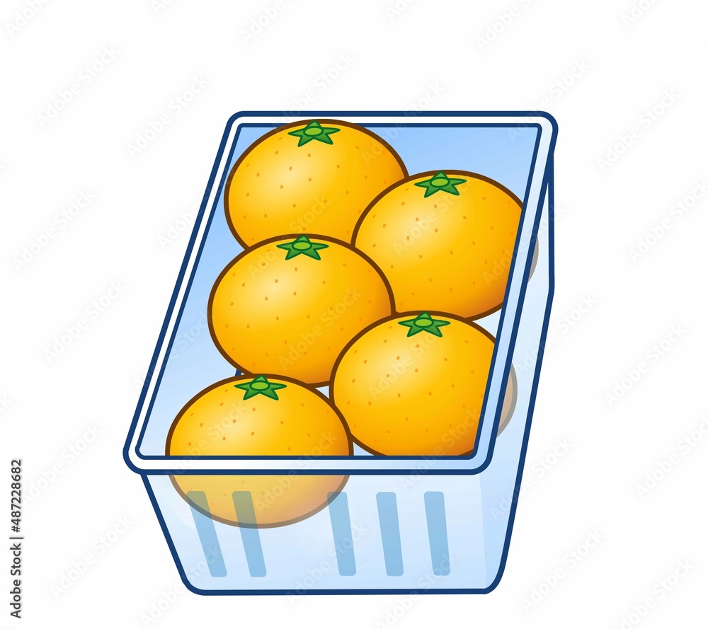 新鮮な美味しいみかん 新鮮な美味しいみかん