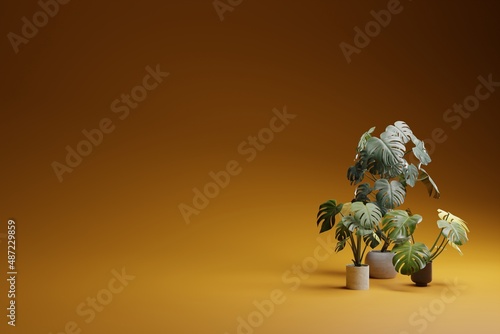 Fresh green monstera plant in pot on a seamless orange backdrop © Gbor