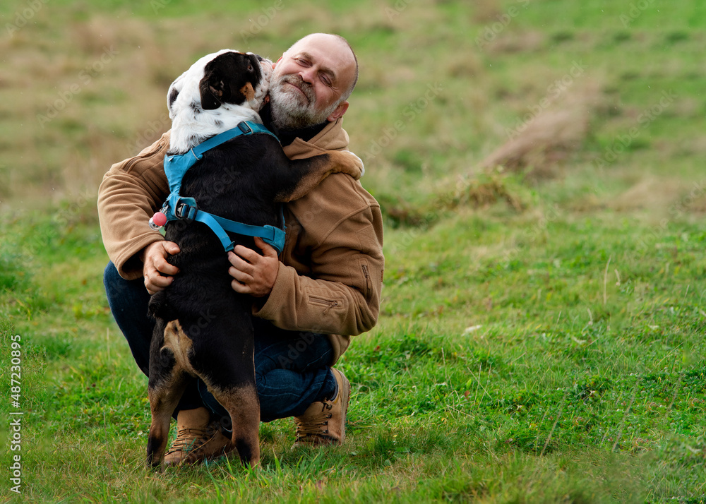 Man and Black tri-color English british bulldogs hugging in the park in sunny day. Strong friendship Man and Black tri-color English british bulldogs hugging in the park in sunny day. Strong friendship