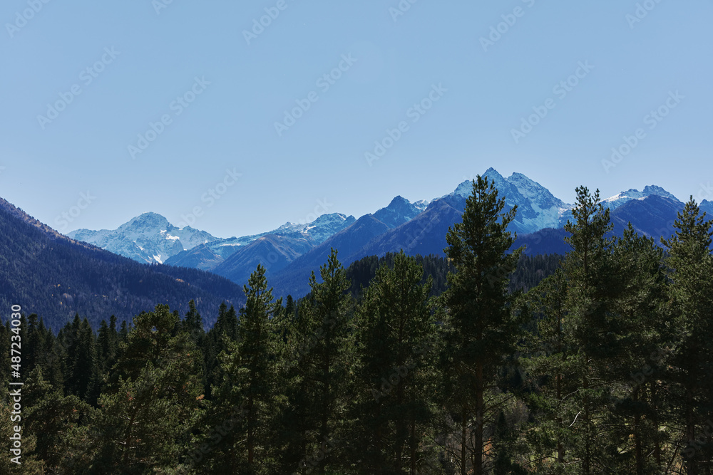 mountain forest blue sky sunny day nature landscape Adventures