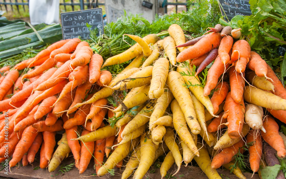 A large bunch of freshly picked orange yellow carrots with the stems still attached at a farmer's market. A large bunch of freshly picked orange yellow carrots with the stems still attached at a farmer's market.
