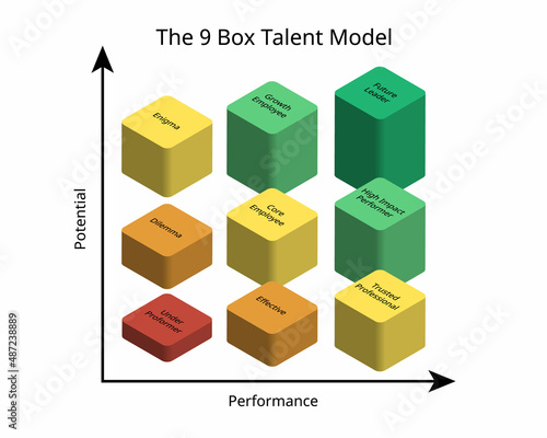 the 9 box talent model or the 9-box grid  is a tool used to analyze, display, and compare employee work performance and potential