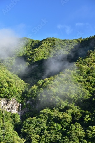 waterfall of heart shape in summer