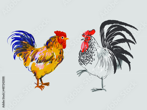 Hand drawn two rooster icon character vector illustration. Isolated on white background

