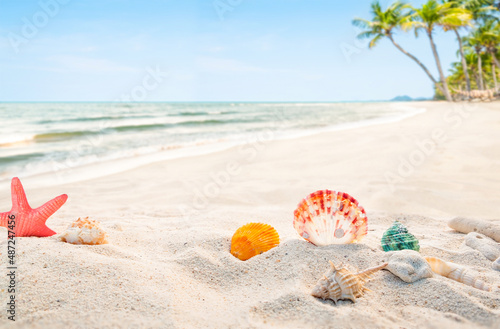 Abstract sand beach with shell. blurred of tropical beach with palm tree calm sea and sky. summer vacation background concept.
