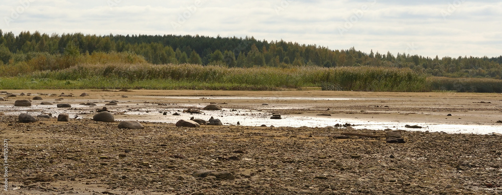 Fototapeta premium Drying bottom of the river against the background of a natural landscape - shore, trees, sky. Low water level in the reservoir.
