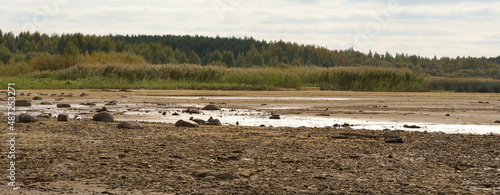 Drying bottom of the river against the background of a natural landscape - shore, trees, sky. Low water level in the reservoir.