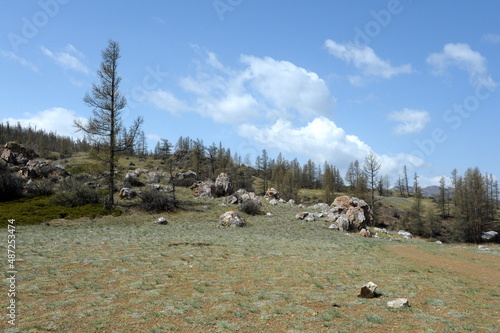 Mountain landscape near the North Chui ridge in the Kosh-Agach district of the Altai Republic. Russia photo