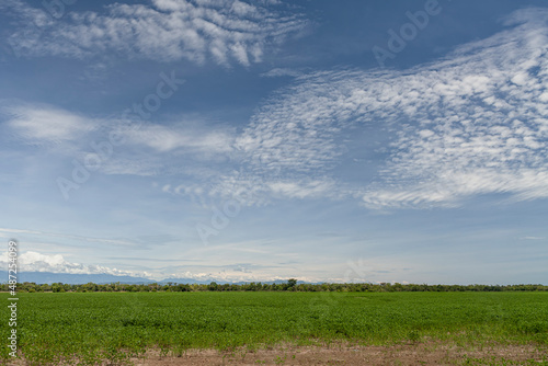 Agriculture in Colombia