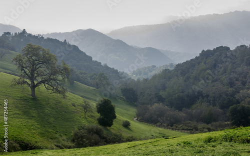 Views of Byrne Preserve towards Santa Cruz Mountains. Los Altos Hills, Santa Clara County, California, USA. photo