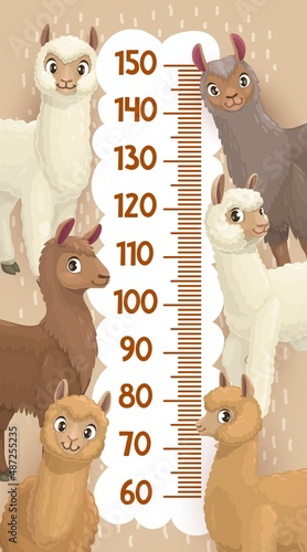 Height chart growth measure ruler llama, alpaca, guanaco and vicuna cartoon animals. Vector meter for kids with funny peruvian characters. Wall sticker centimeter scale for children height measurement