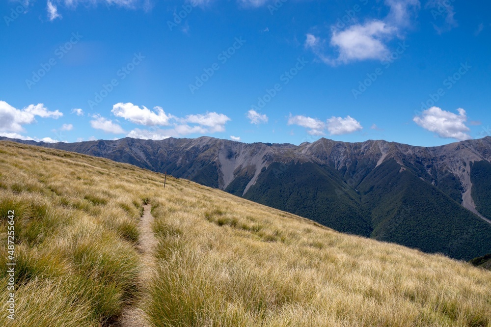 Beautiful Track, Mt Robert Circuit, New Zealand Beautiful Track, Mt Robert Circuit, New Zealand