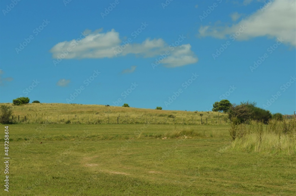 The Pampas plain in the field of Buenos Aires, Argentina The Pampas plain in the field of Buenos Aires, Argentina