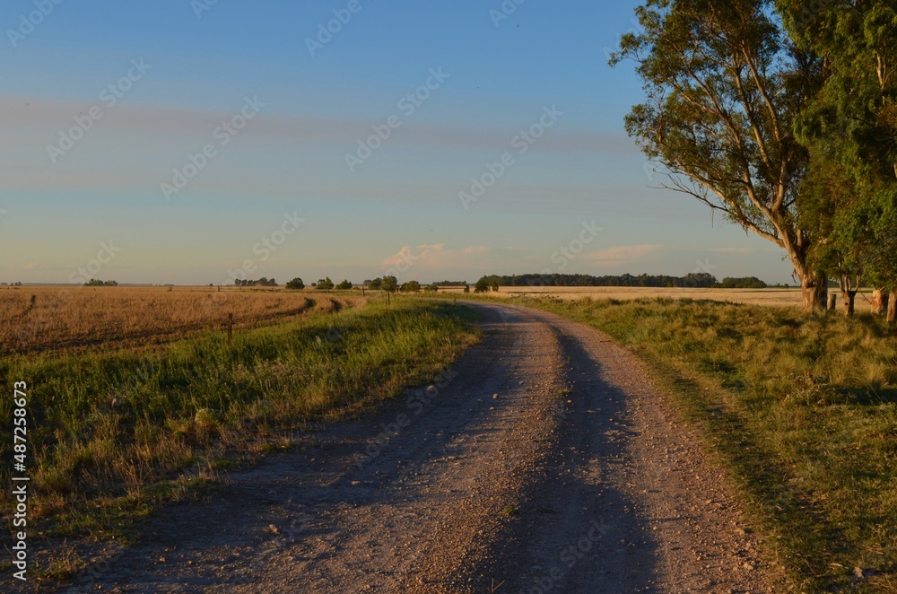 Naklejka premium A rural road in the middle of the field, in the Pampas region of Argentina