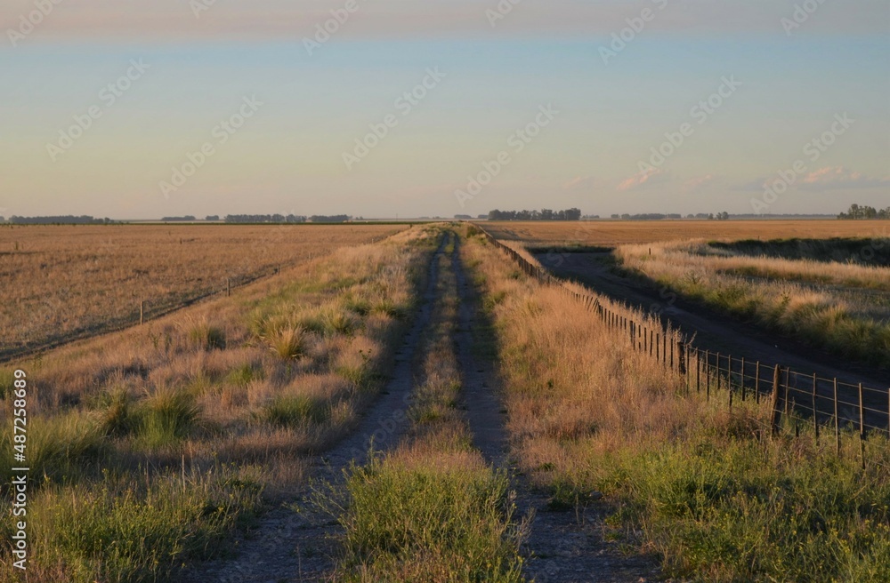Fototapeta premium A rural road in the middle of the field, in the Pampas region of Argentina